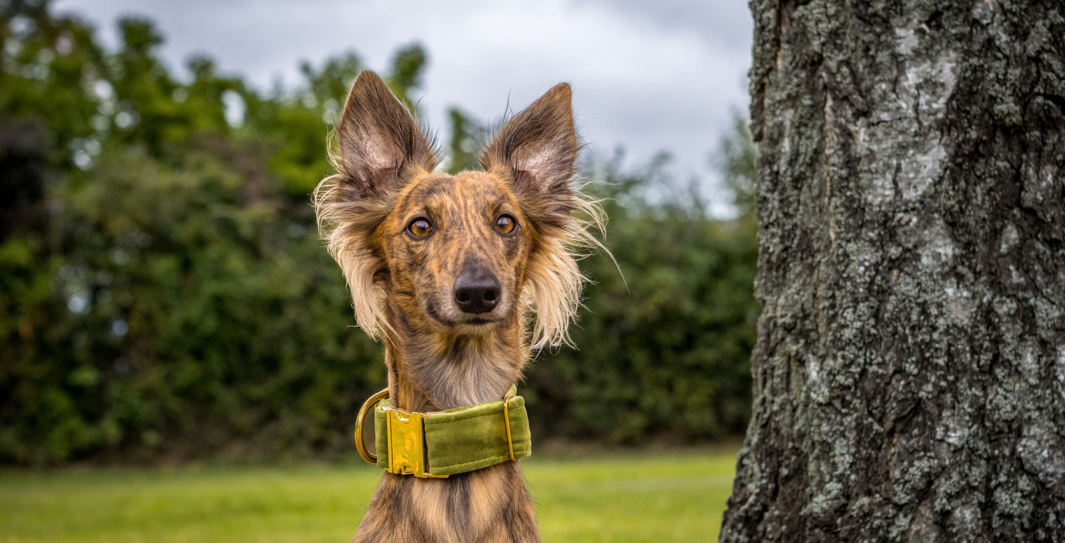 Mitarbeiter (m/w/d) für Produktion & Versand gesucht!