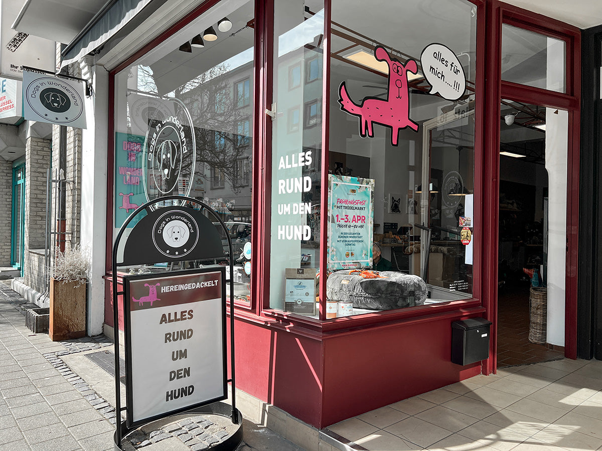 Store-Portrait: Dogs In Wonderland