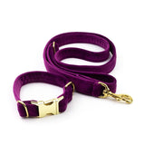 Frau Frauchen Leine Sametti Lila für Hunde und Haustiere
