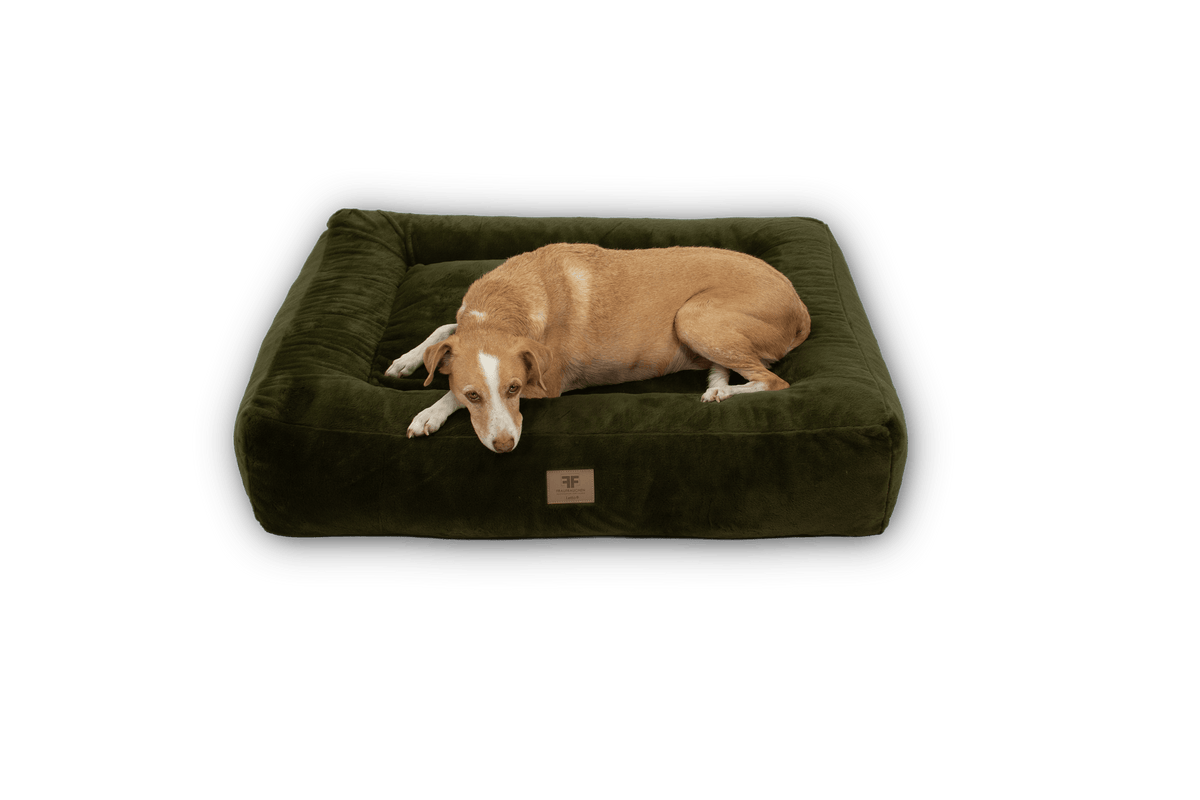 Wechselbezug Letto Premium Moos