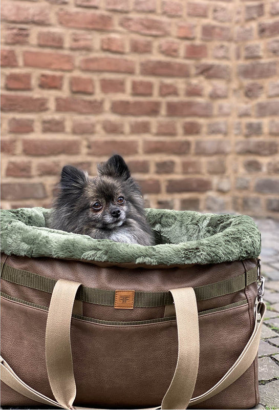 Ein süßer Zwergspitz sitzt in einer Tragetasche für kleine Hunde von Frau Frauchen