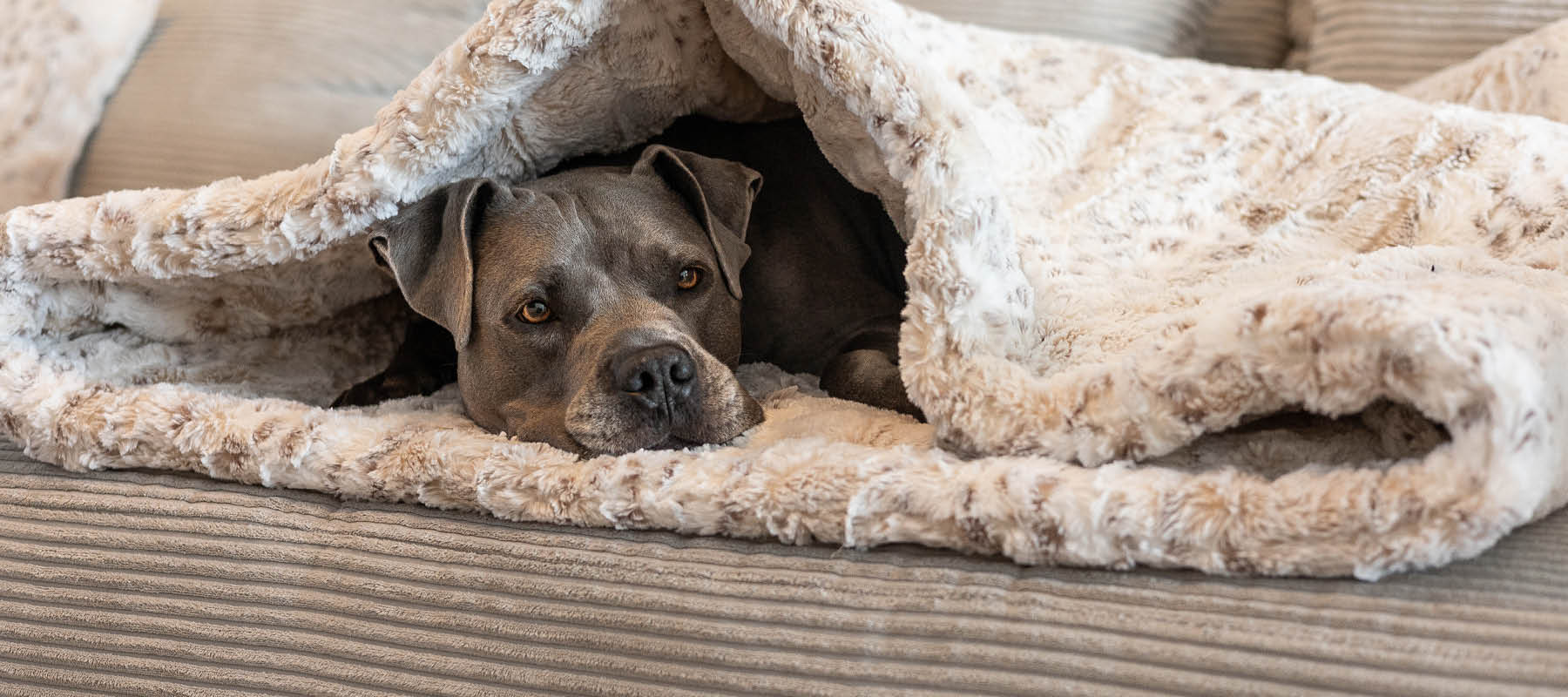 Frau Frauchen Hundeschlafsack Snorebag Hermelin