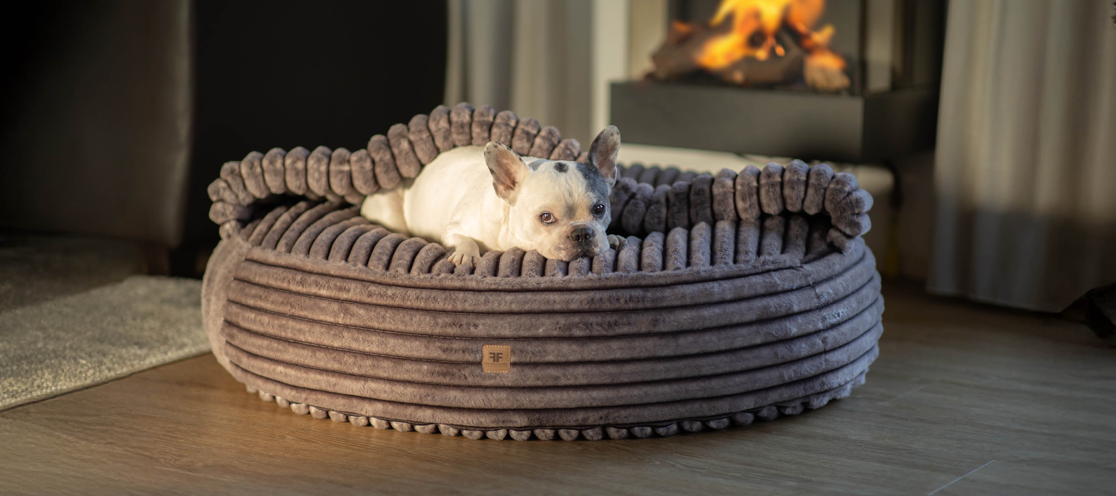 Eine Französische Bulldogge liegt auf einem orthopädischen Hundebett von Frau Frauchen