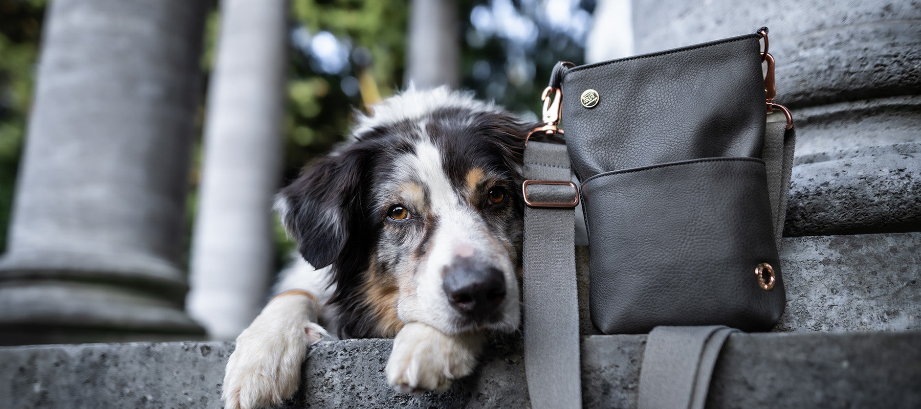 Hochwertige Gassitasche aus Kunstleder von Frau Frauchen in der Farbe Industrial