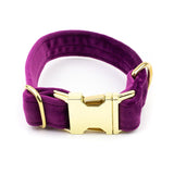 Frau Frauchen Halsband Sametti Lila für Hunde und Haustiere