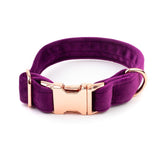 Frau Frauchen Halsband Sametti Lila für Hunde und Haustiere