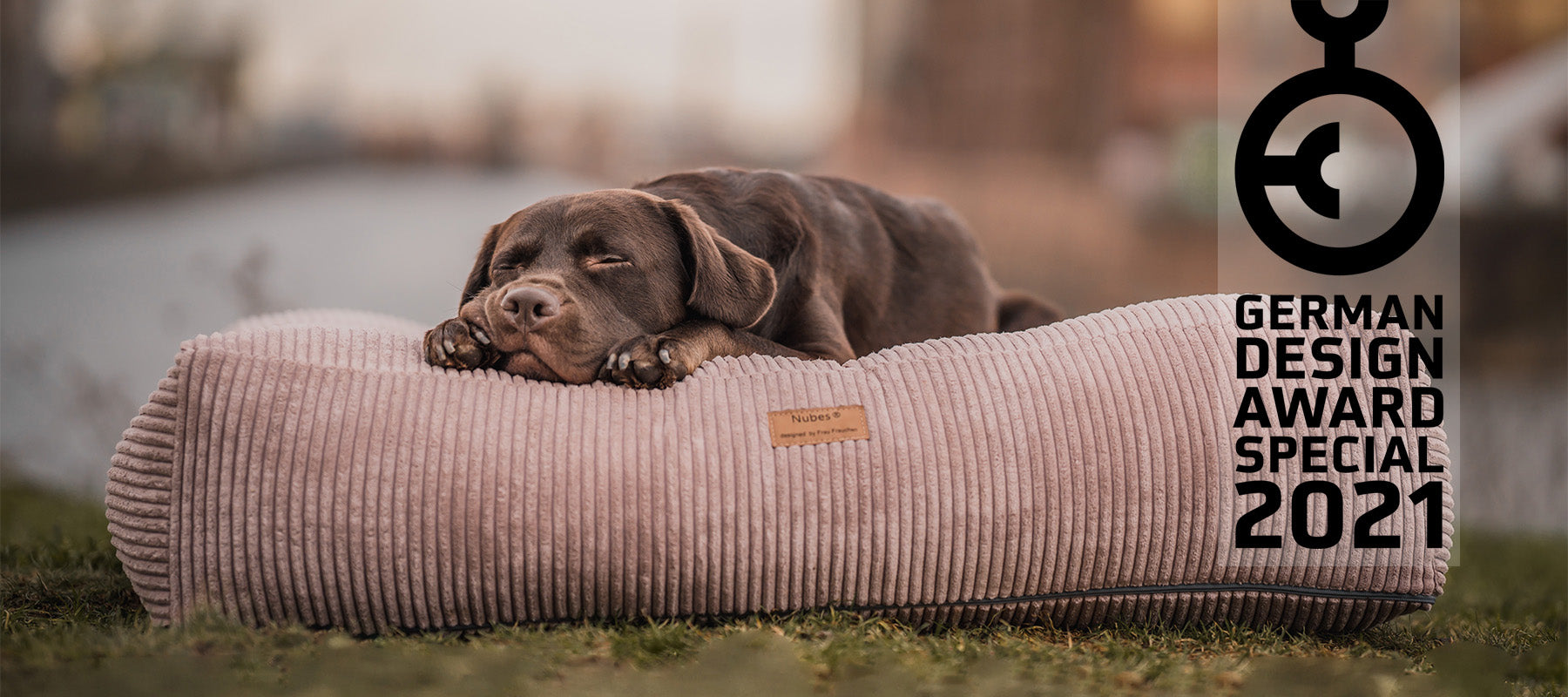 Labrador Hund liegt auf orthopädischem Hundebett von Frau Frauchen in der Farbe Cord Blush auf einer Wiese.
