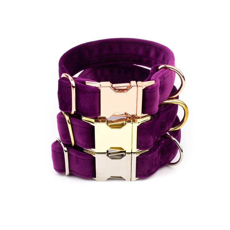 Hunde Halsband Sametti Lila