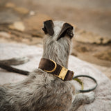 Frau Frauchen Halsband Sametti Schoko für Hunde und Haustiere