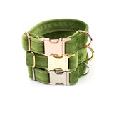 Frau Frauchen Halsband Sametti Grün für Hunde und Haustiere