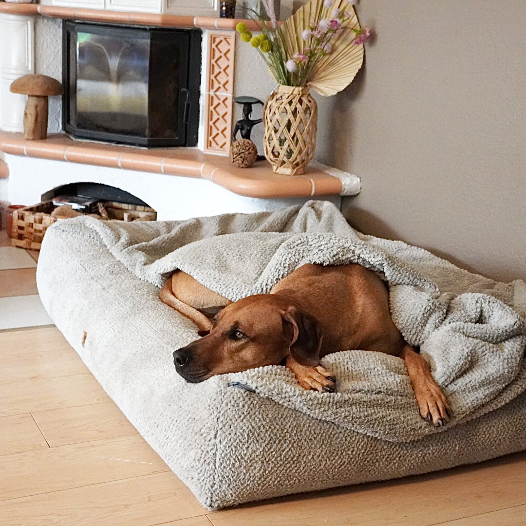 Frau Frauchen orthopädisches Hundebett Letto Dots für Hunde und Haustiere