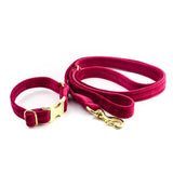 Frau Frauchen Leine Sametti Fuchsia für Hunde und Haustiere