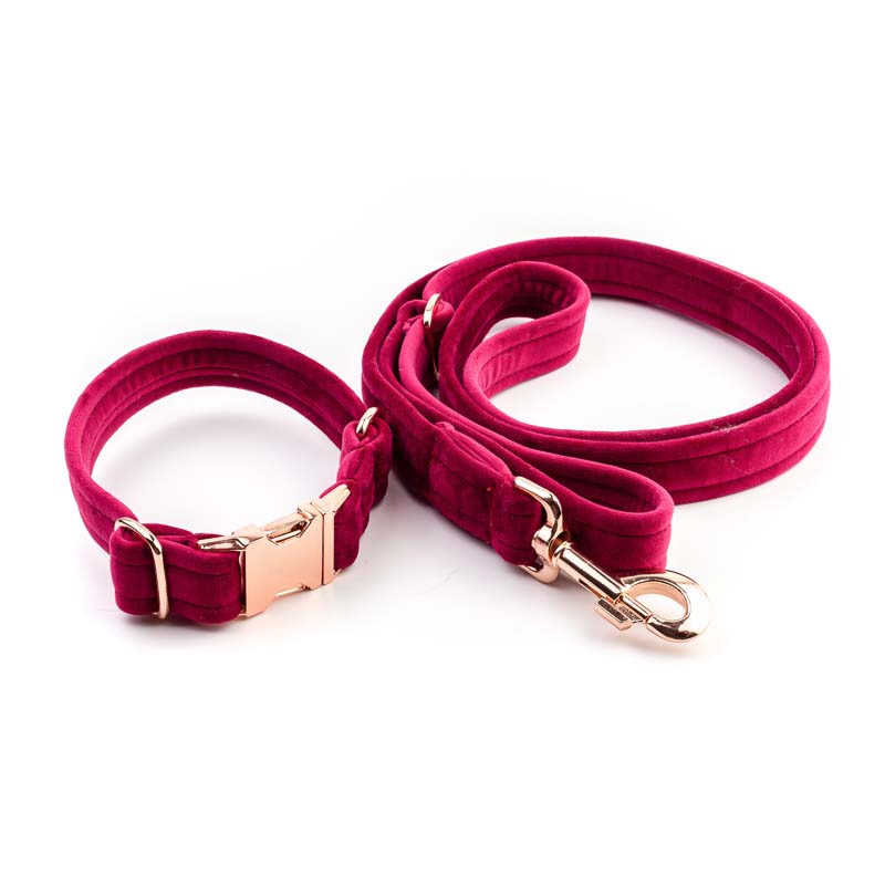 Frau Frauchen Leine Sametti Fuchsia für Hunde und Haustiere