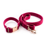 Frau Frauchen Leine Sametti Fuchsia für Hunde und Haustiere