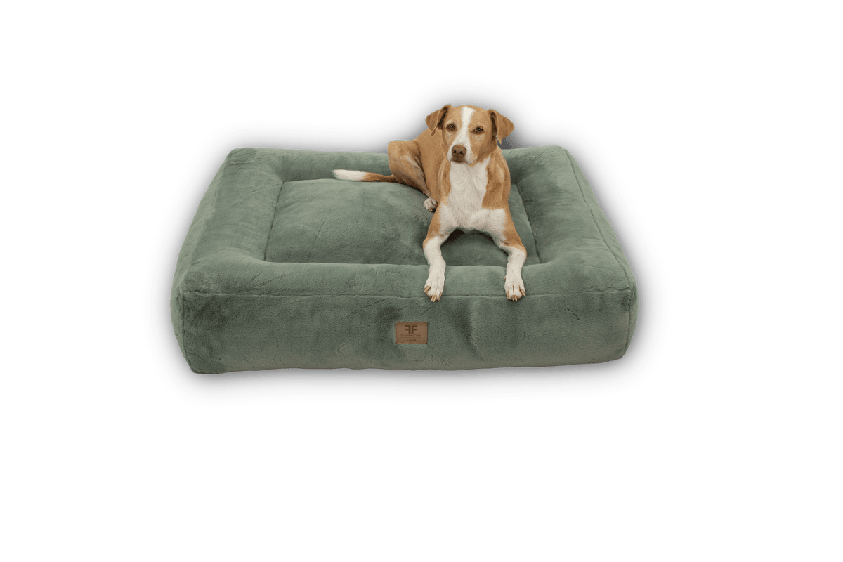 Wechselbezug Letto Premium mint