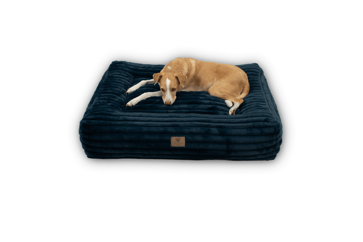Wechselbezug Letto Big Stripes Midnight