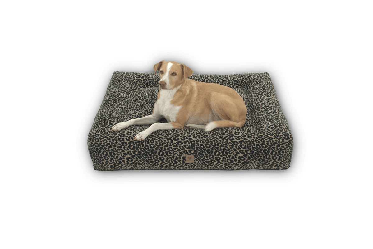 Wechselbezug Letto Leo Pearl