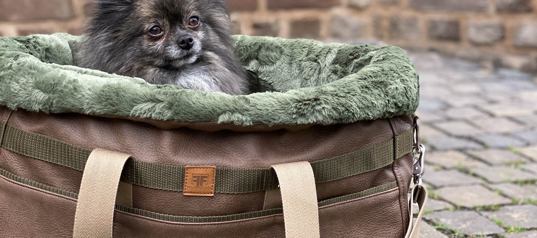 Ein Zwergspitz sitzt in einer Tragetasche für kleine Hunde von Frau Frauchen 