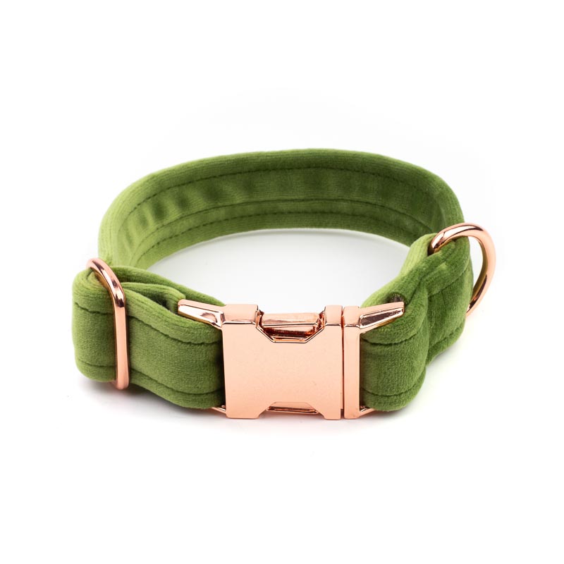 Frau Frauchen Halsband Sametti Grün für Hunde und Haustiere