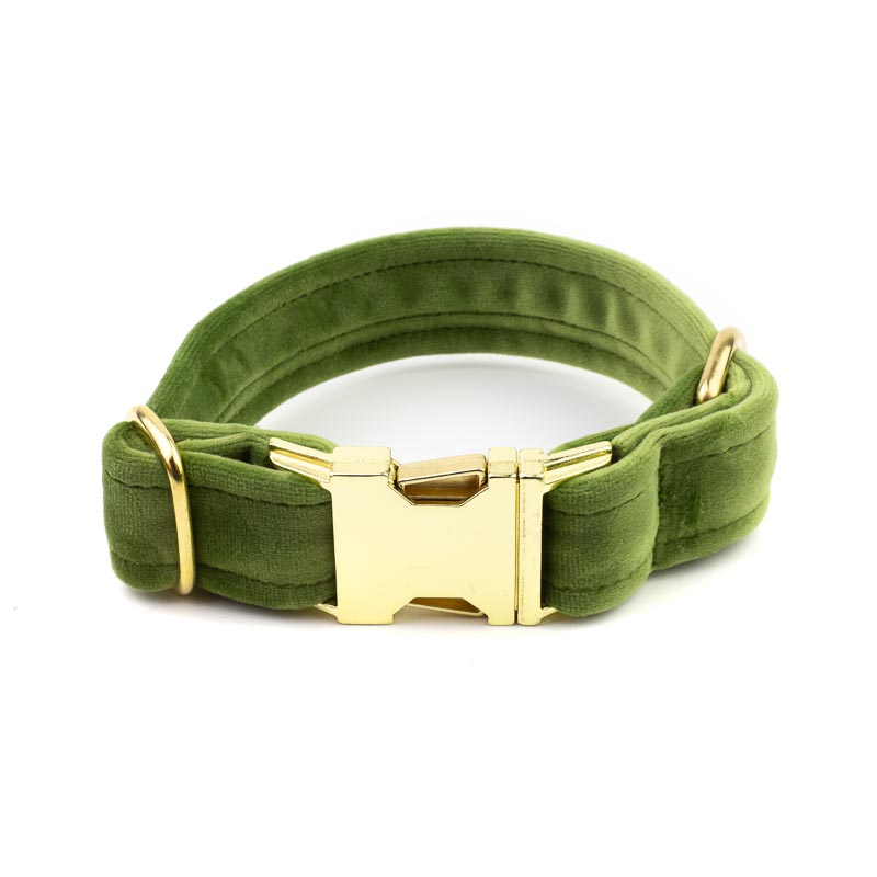 Frau Frauchen Halsband Sametti Grün für Hunde und Haustiere