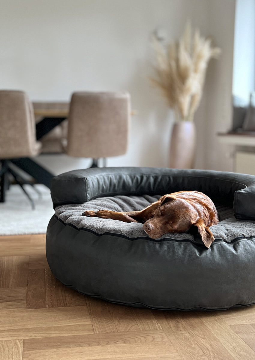 Hund lehnt sich im runden CaLo von Frau Frauchen an