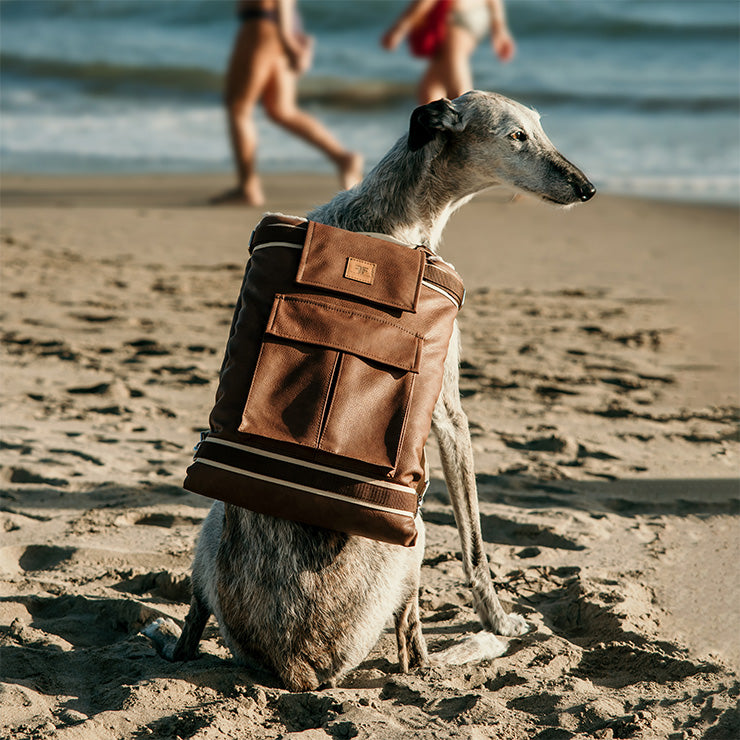 Frau Frauchen Deckenrucksack Kunstleder City für Hunde und Haustiere am Strand