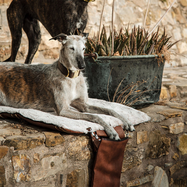 Hund liegt auf Decken-Rucksack in der Farbe City von Frau Frauchen Manufaktur für Hunde.