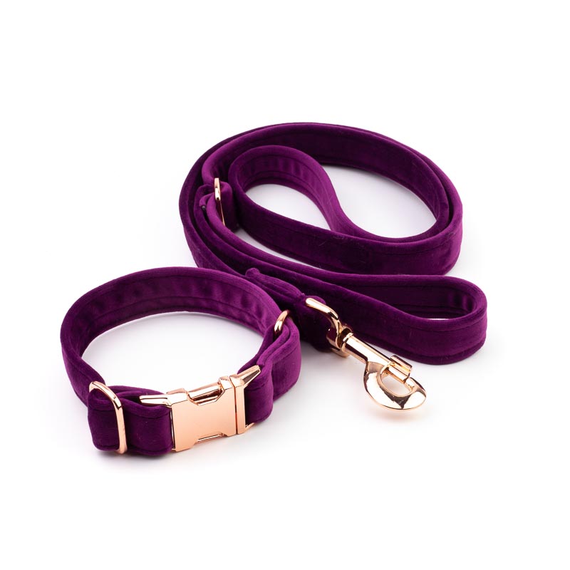 Frau Frauchen Leine Sametti Lila für Hunde und Haustiere