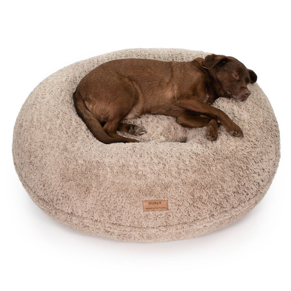 Ein Hund liegt auf einem orthopädisches Hundebett in der Farbe Curly Sand von Frau Frauchen in Form der Wolke 7.