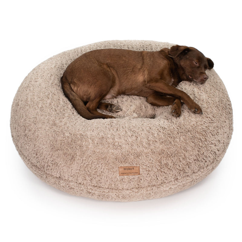 Ein Hund liegt auf einem orthopädisches Hundebett in der Farbe Curly Sand von Frau Frauchen in Form der Wolke 7.