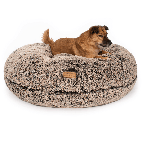 Ein Hund liegt auf einem orthopädisches Hundebett von Frau Frauchen in Form der Wolke 7.