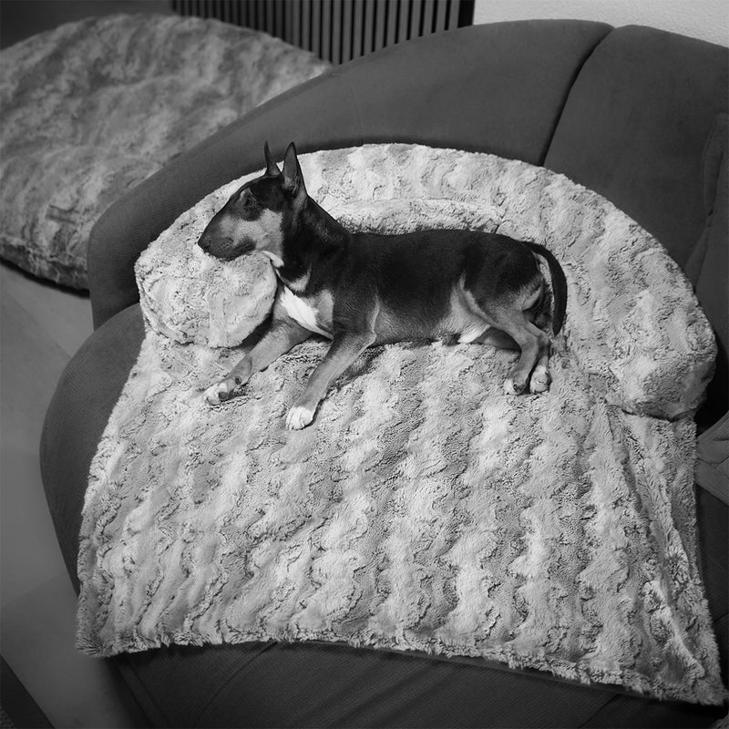 Ein Mini Bullterrier liegt auf einem Hundebett auf dem Sofa und kuschelt sich ein