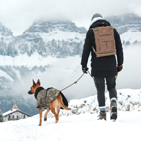 Herrchen trägt einen Rucksack und geht im Schnee mit einem Hundemantel tragenden Schäferhund spazieren 