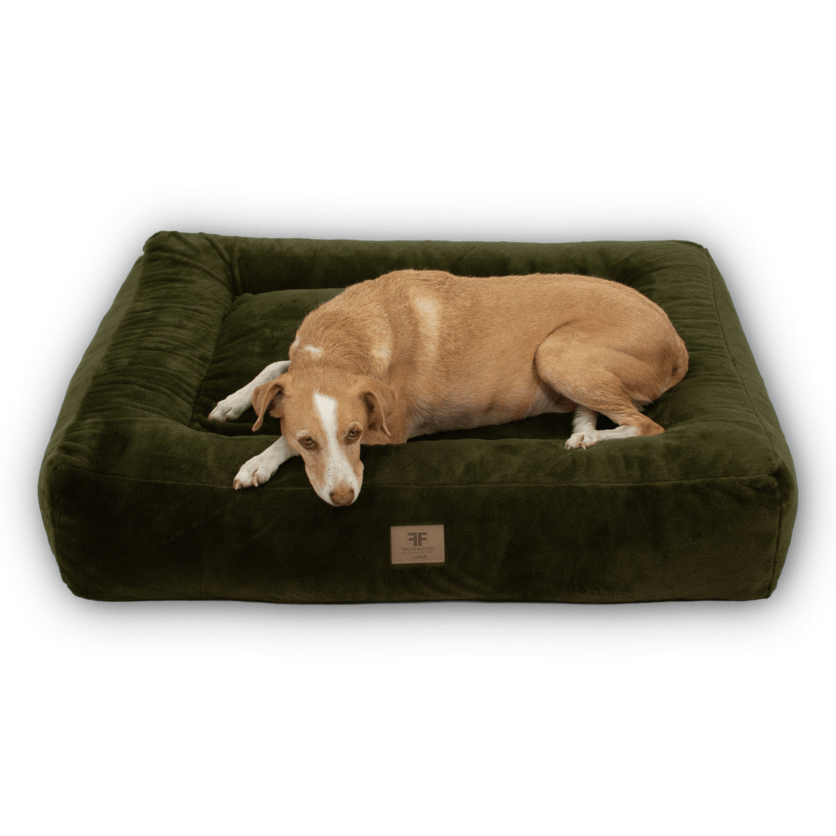 Hundebett Letto Premium Moos