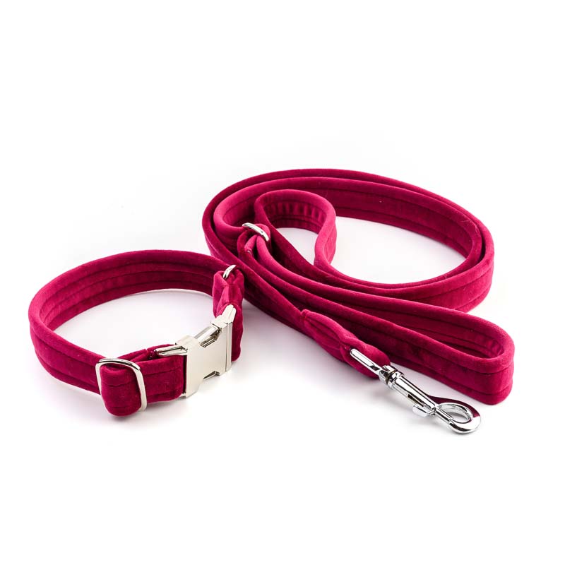 Frau Frauchen Leine Sametti Fuchsia für Hunde und Haustiere