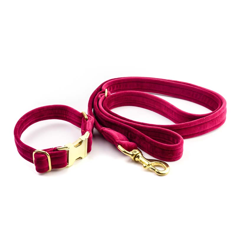 Frau Frauchen Leine Sametti Fuchsia für Hunde und Haustiere