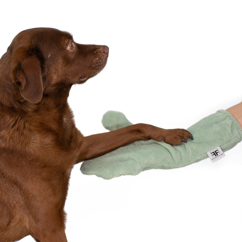 Eine Frau putzt ihrem Labrador die Pfoten mit einem grünen Waschhandschuh