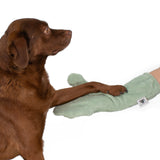 Ein Mensch putzt ihrem Hund die Pfoten mit einem grünen Waschhandschuh