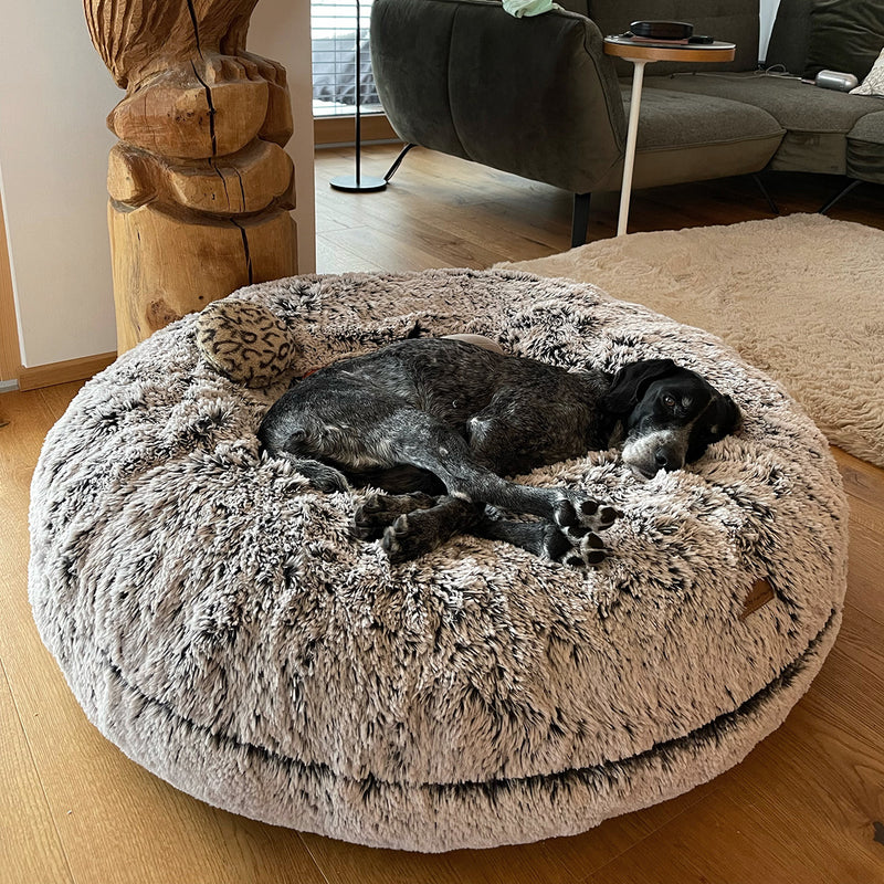 Großer Jagd Hund liegt auf orthopädischem Hundebett Wolke Zottel Schwarz Weiß von Frau Frauchen Manufaktur für Hunde.